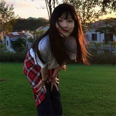 汪星人的奇思妙想
